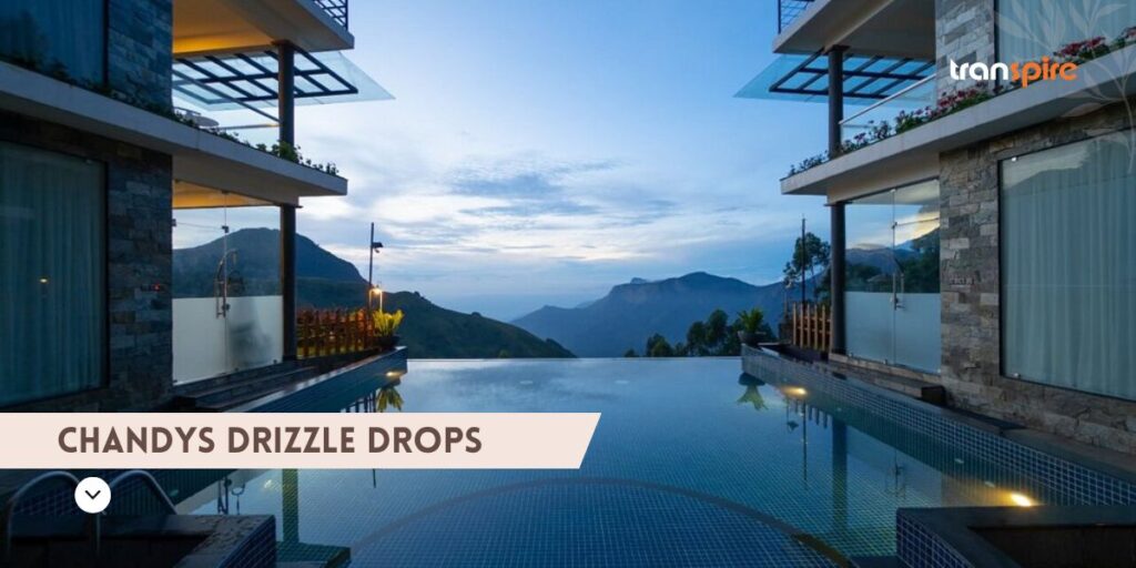 Chandys Drizzle Drops